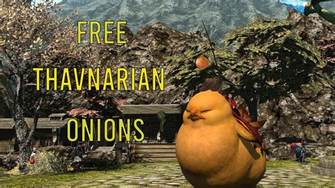 thavnairian onion ffxiv